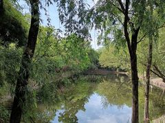 -西溪国家湿地公园