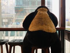 -ZOO COFFEE动物园咖啡(望京锐创店)