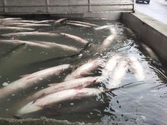 -大通湖