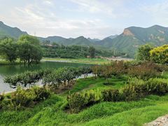 -汉堡王(龙德广场店)