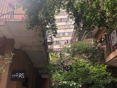 -嘉善老市