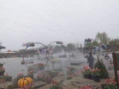 -荷兰花海