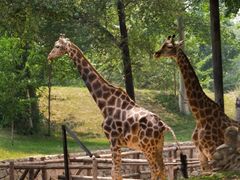 -北京野生动物园