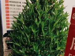 -沸腾鱼乡(知春路分店)