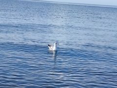 -青海湖二郎剑景区