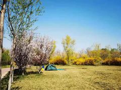 -杨柳青庄园