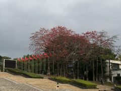 -东莞植物园