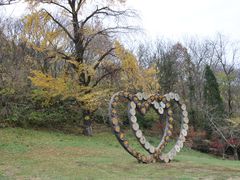 -千年银杏谷文化旅游区