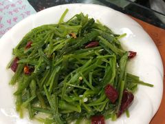 水性杨花汤-泸沽肴(泸沽湖大洛水村农村信用社旁店)