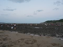 -长江澳风力发电景观区