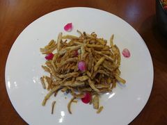 -翠湖湾海鲜音乐餐厅