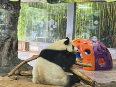 -海南热带野生动植物园