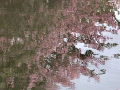 -番禺广场(市桥街道)