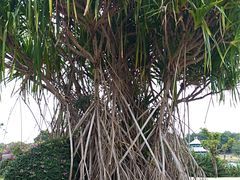 -三亚南山文化旅游区