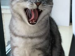 -申普宠物医院·眼科·心内科·影像科(普陀分院)