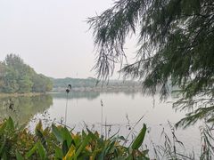 -东湖落雁景区