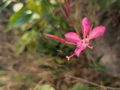 -南京金牛湖风景区