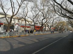 -天泽祥·鼓楼馒头(鼓楼店)