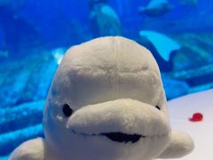 -亚特兰蒂斯•OSSIANO奥西亚诺海底餐厅