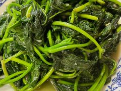清炒苕尖-大隐隐于市私房菜(保和小区店)