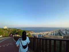 -星海湾跨海大桥