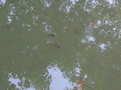 -光明港公园