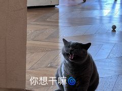 -Me Coffee下午茶艺术空间