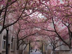 -西安交通大学(雁塔校区)