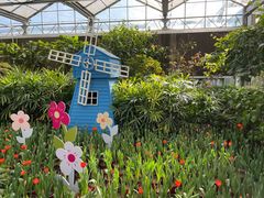 -南宫五洲植物乐园