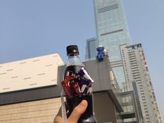 -黑色经典臭豆腐·湖南特产(步行街店)