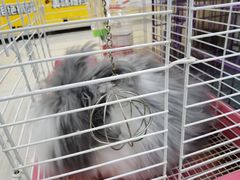 -米卢宠物公园(广华居店)