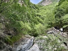 -少华山国家森林公园