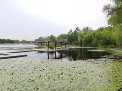 -苏州东太湖生态园