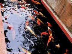-侠成水上农庄(工业大道店)