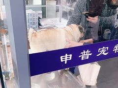 -申普宠物医院·眼科·心内科·影像科(普陀分院)
