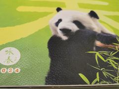 -眉州东坡(团结湖店)