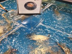 -盒马鲜生(丁香国际店)