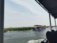 -白洋淀景区