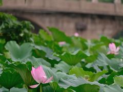 -石湖景区