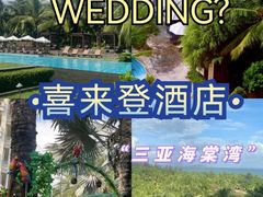 -三亚海棠湾喜来登度假酒店大堂吧