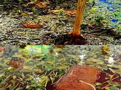 -鑫日千里马朝鲜族小馆(总店)