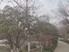 -南山风景名胜区