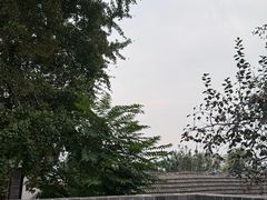 -自如ZSPACE四合院艺术餐厅