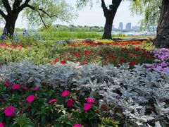 -长春市南湖公园