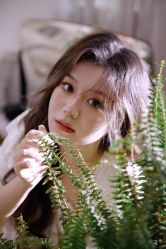 -WAVE SODA摄影工作室