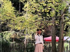 -南雄冯屋银杏山庄