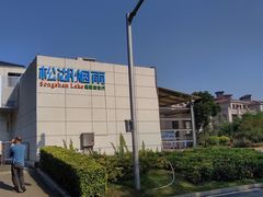 -松山湖南湖湾露营营地