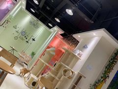 -藏猫猫咖啡主题馆(中央大道店)