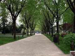 -唐城墙遗址公园