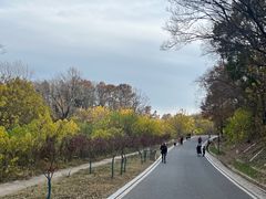 -南京市江宁方山